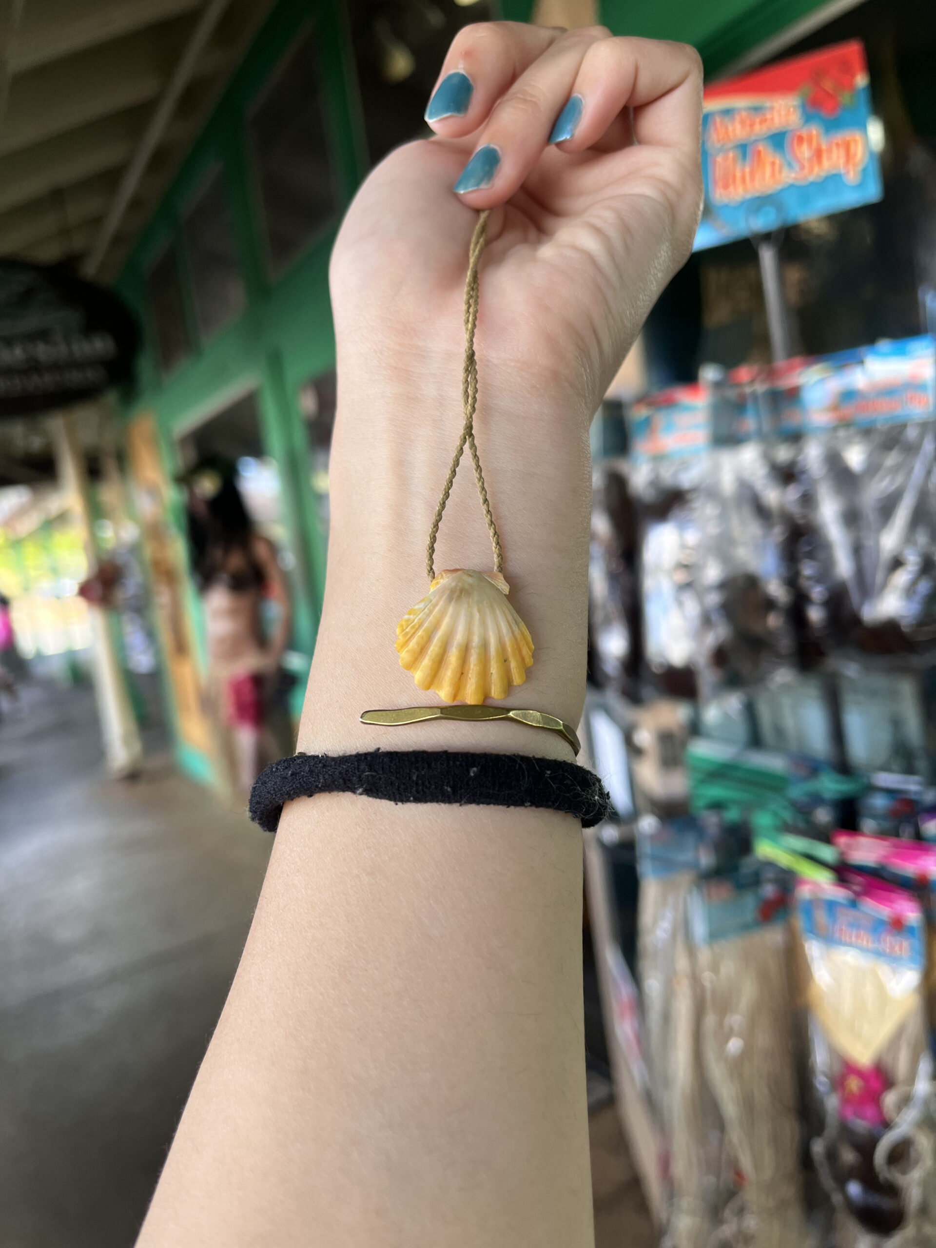 sunrise shell